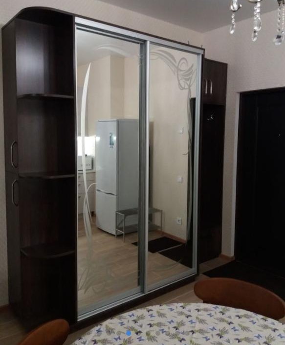 продажа однокомнатной квартиры номер A-173734 в Приморском районе, фото номер 10
